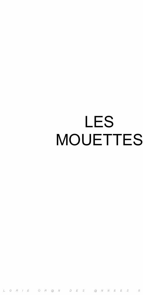 Les mouettes2 (0).jpg